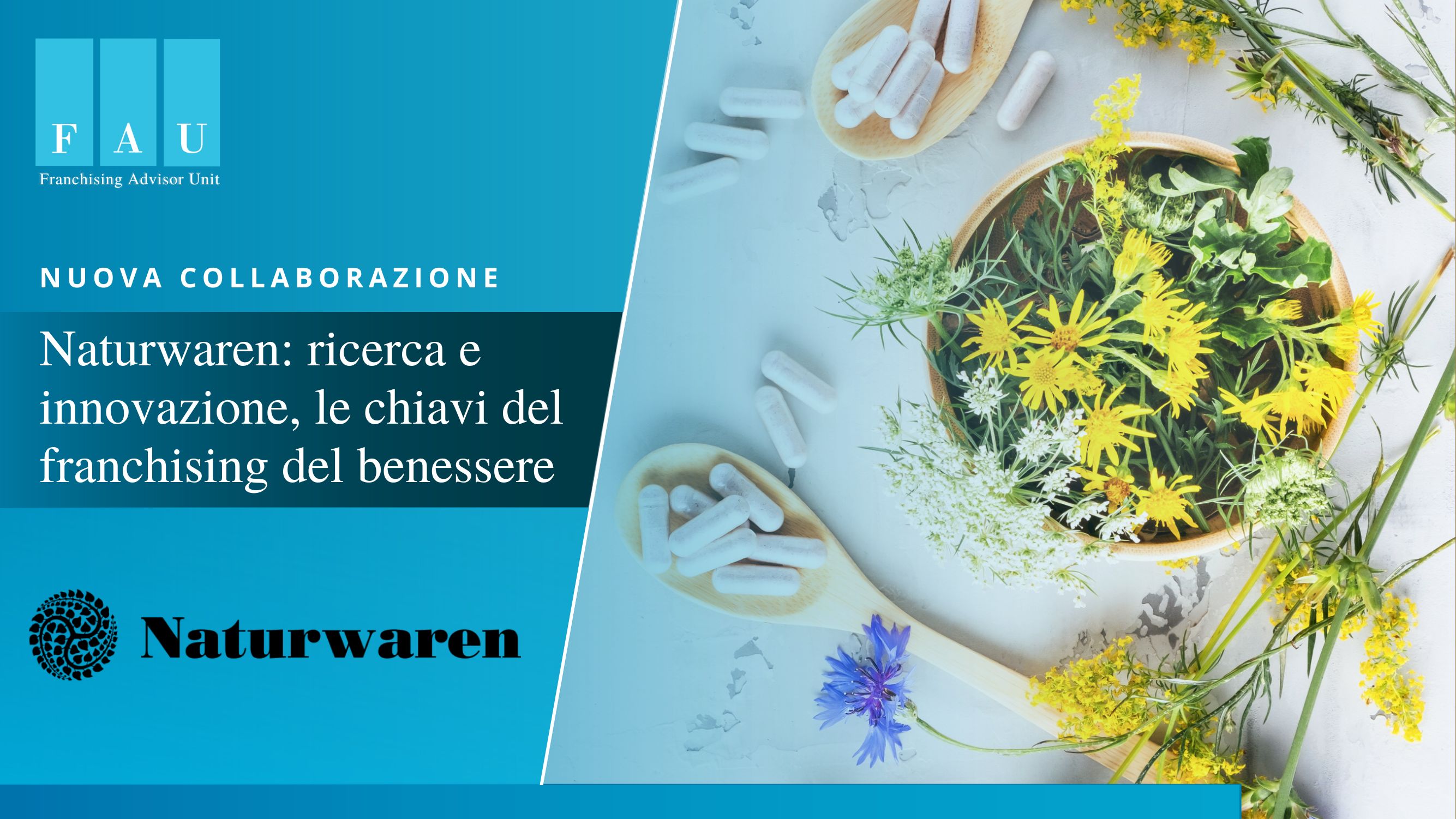 Nuova collaborazione con Naturwaren
