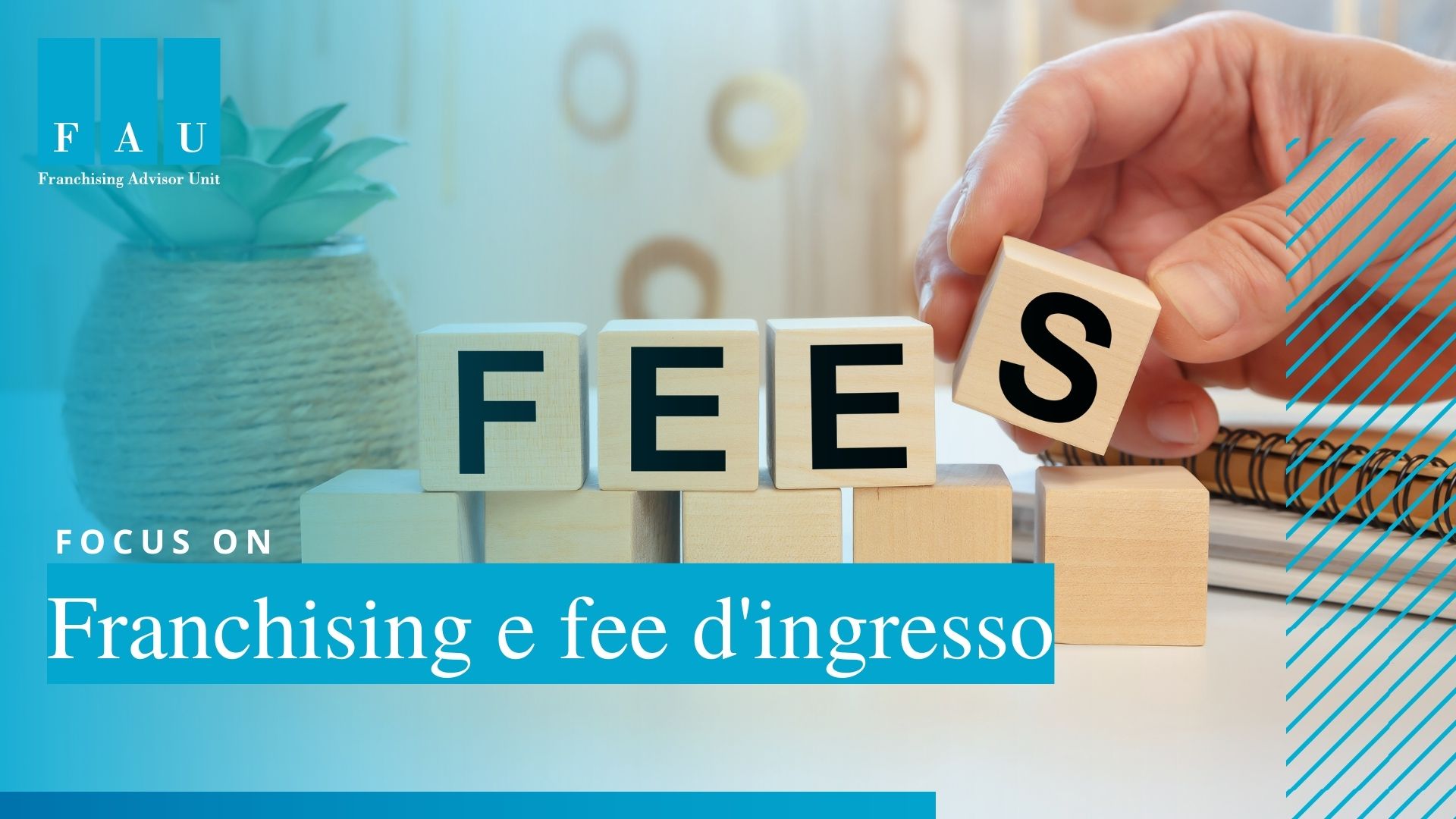 Franchising e fee d'ingresso
