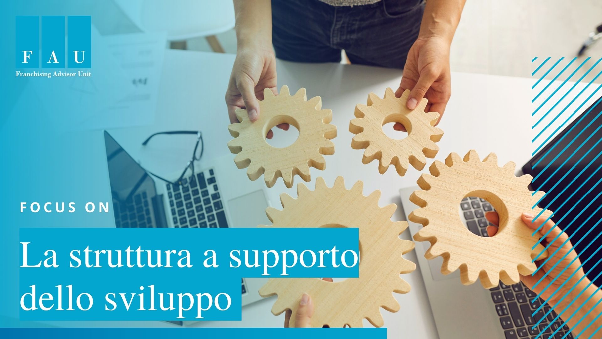 La Struttura a supporto dello sviluppo
